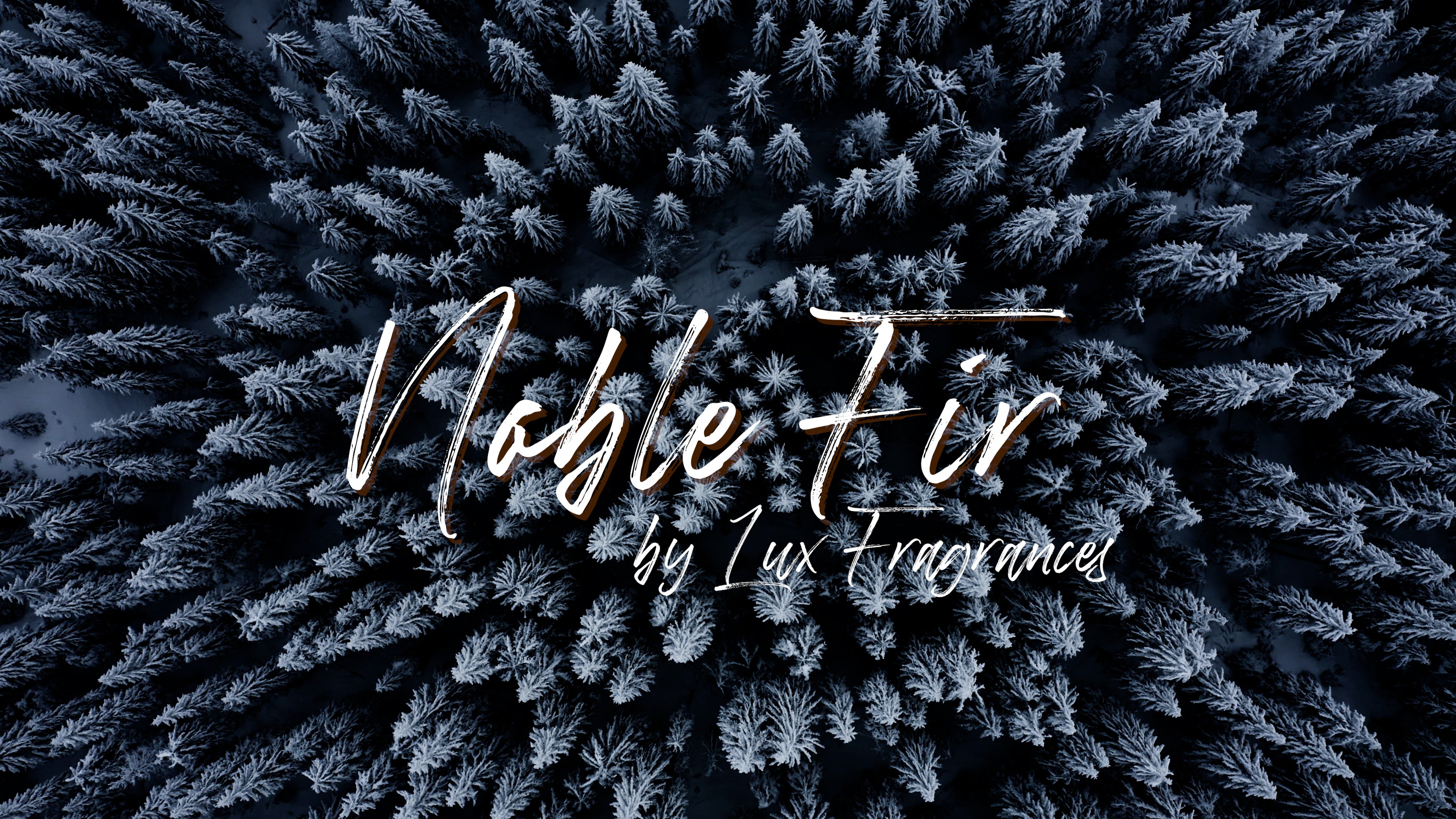 Noble Fir