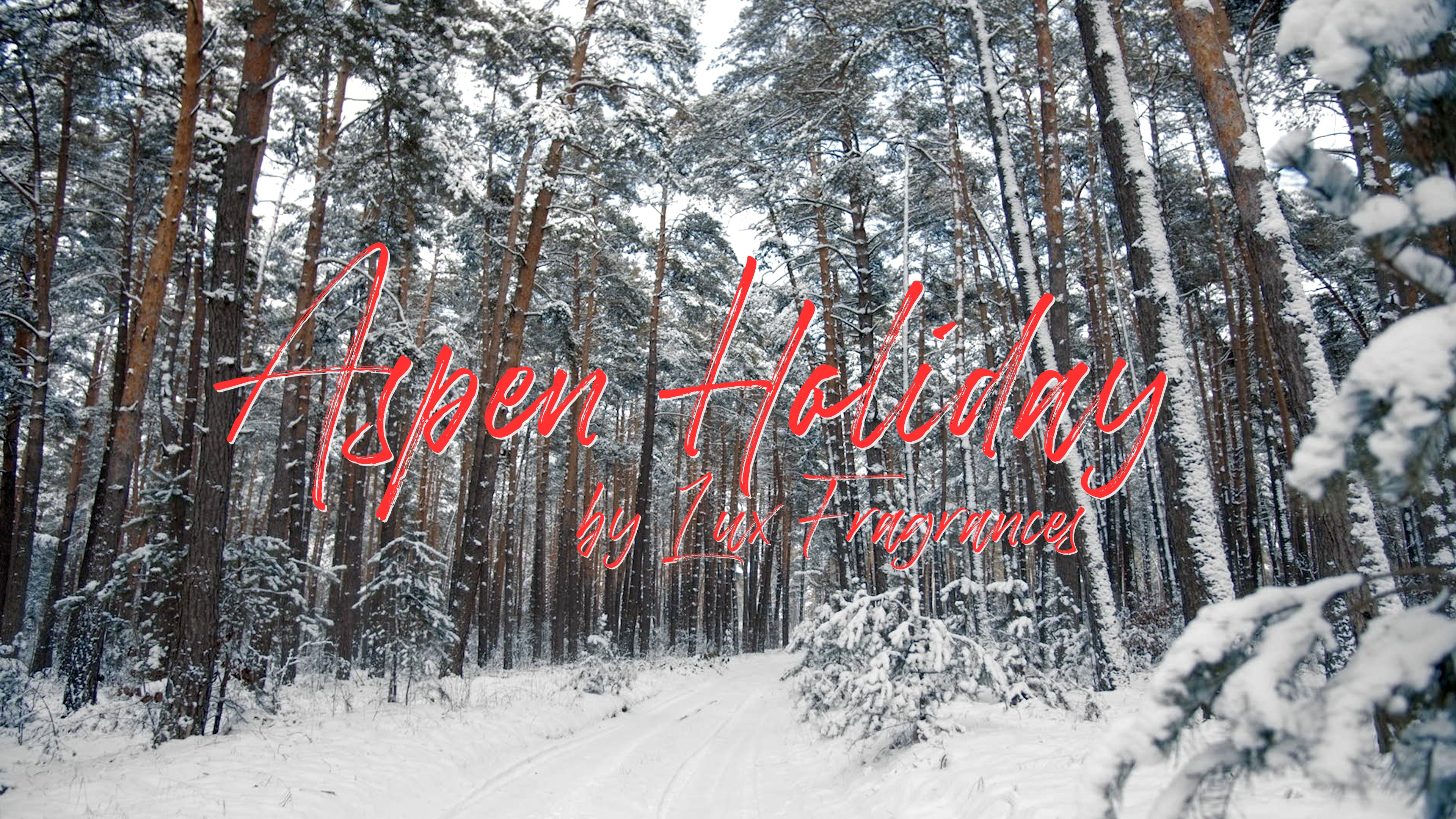 Aspen Holiday