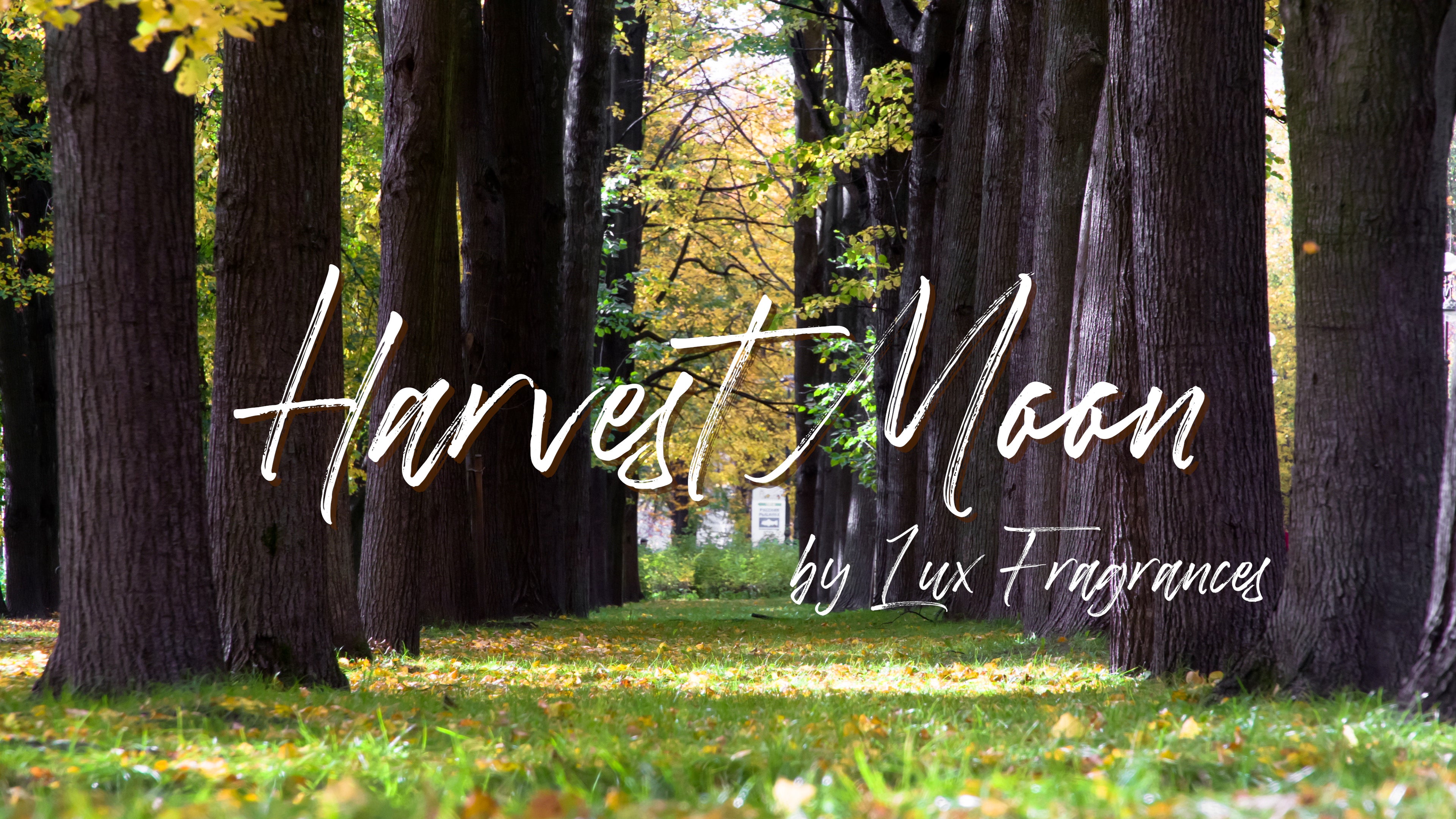 Harvest Moon