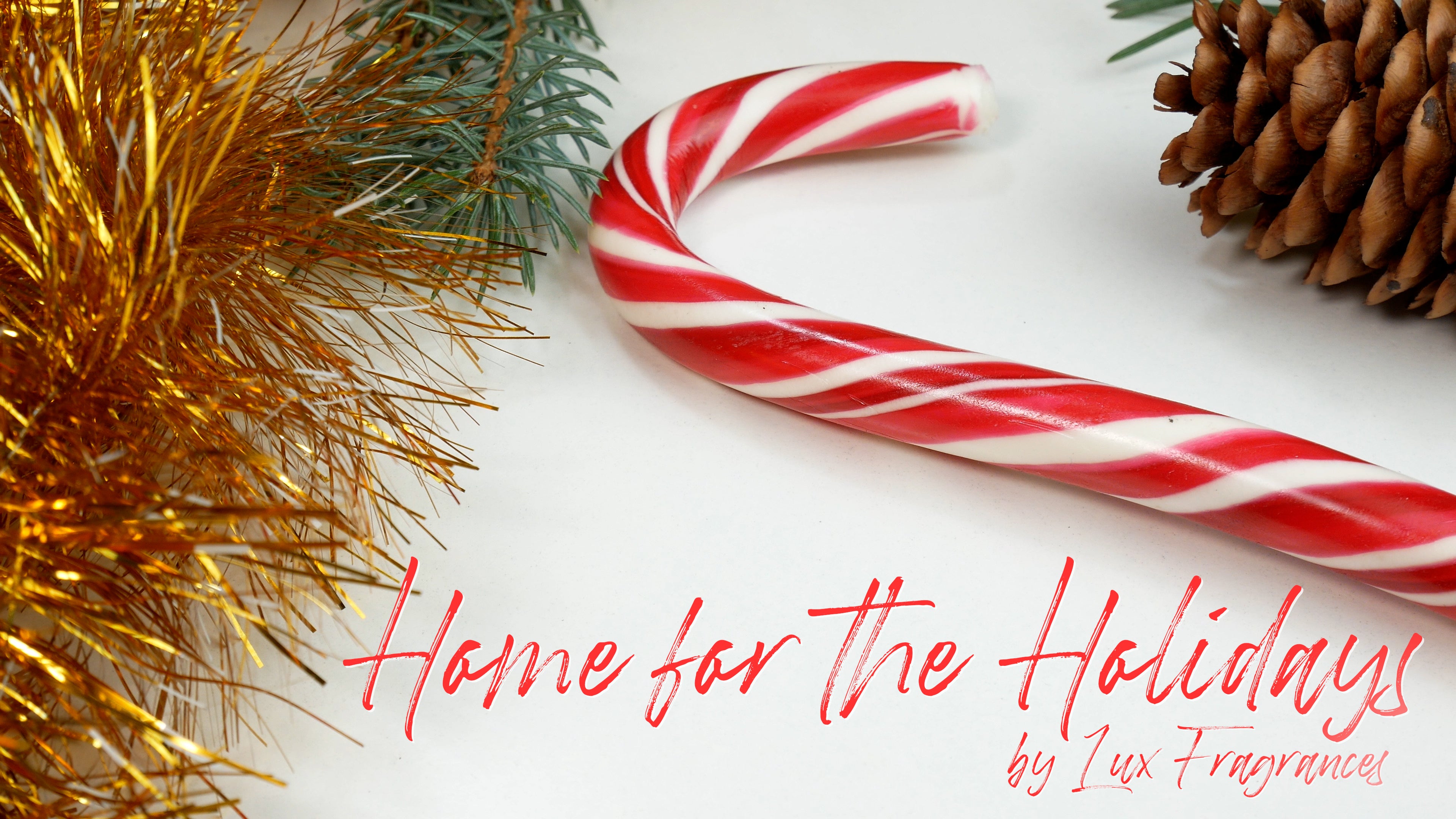 Home for the Holidays