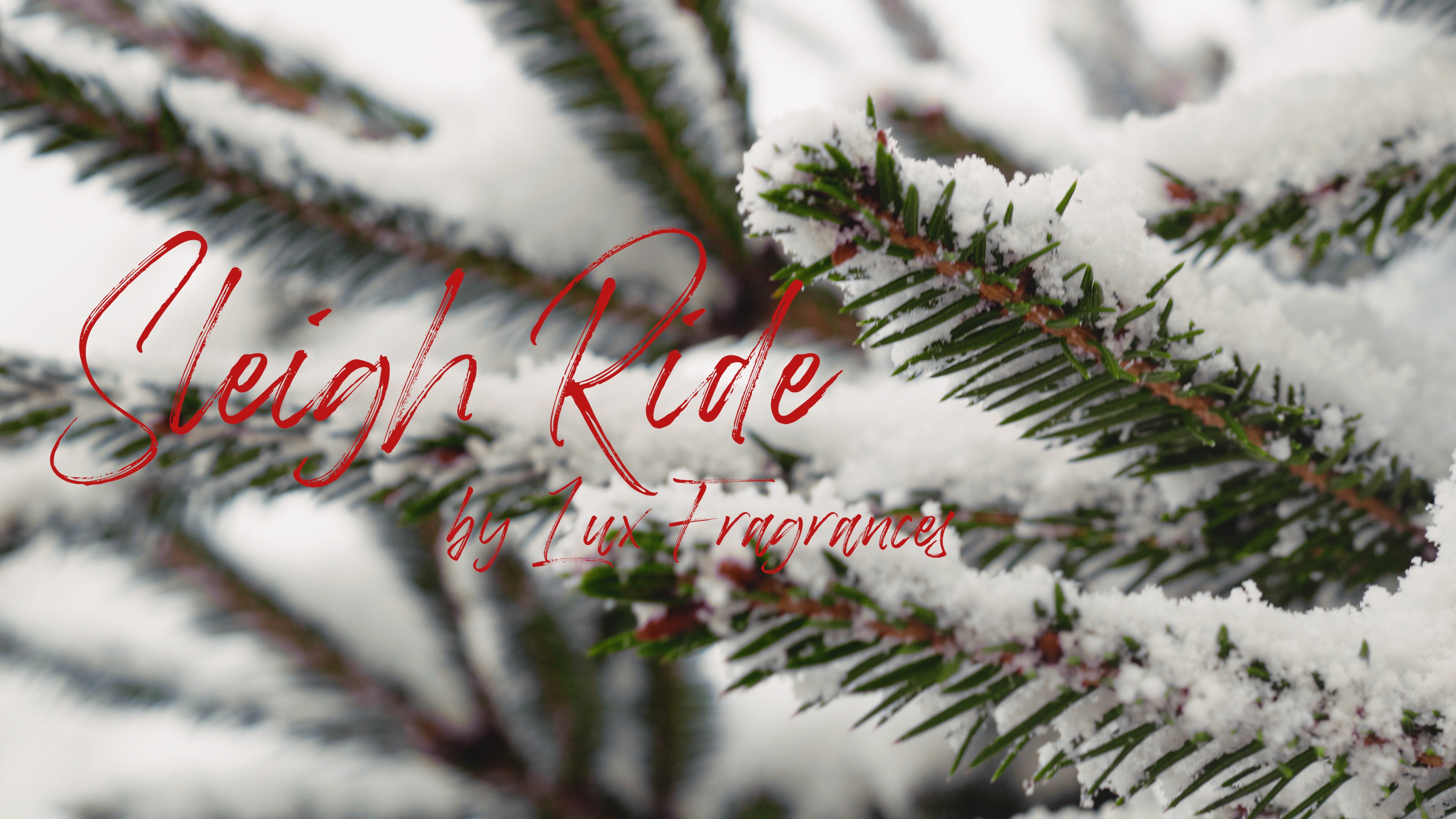 Sleigh Ride